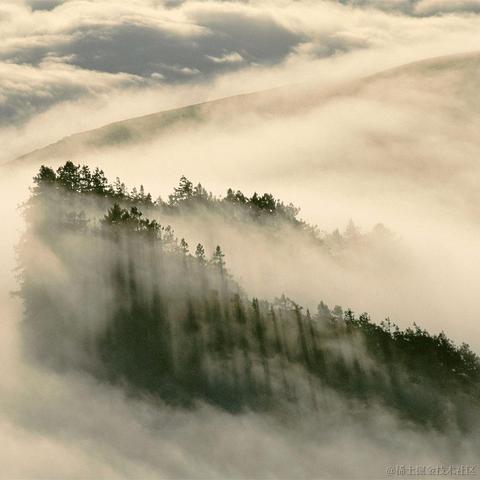 小么小二郎啊哈哈于2023-11-03 19:23发布的图片