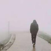 SelfDevourer的个人资料头像