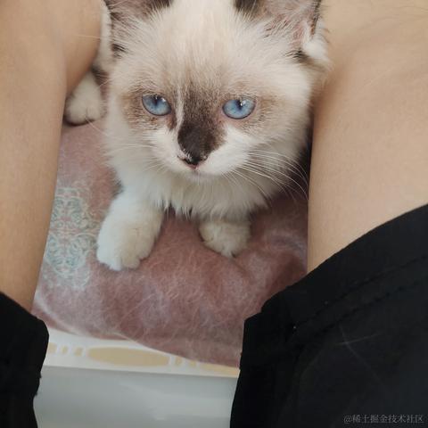 三岁起就很帅于2023-04-25 11:05发布的图片