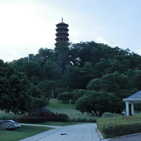 折花赠汝于2023-07-25 11:18发布的图片