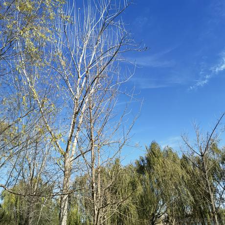 好耶仔仔棒于2022-11-13 11:19发布的图片