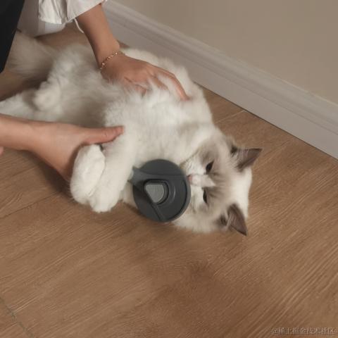 青乐于2021-10-28 09:08发布的图片