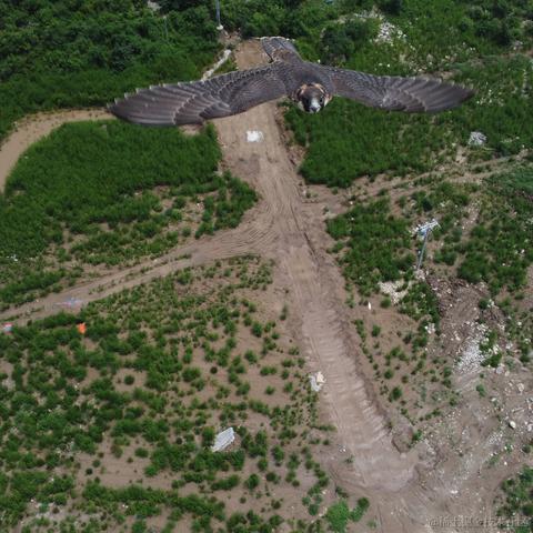 Buzz_Lightyear于2024-07-01 15:07发布的图片