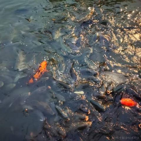 滨工柳于2023-01-22 22:49发布的图片