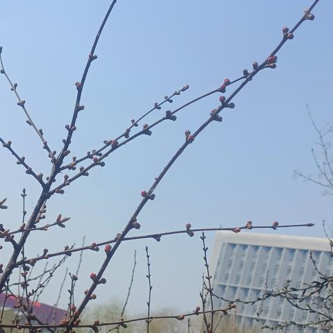 哇酷哇库于2023-04-15 14:12发布的图片