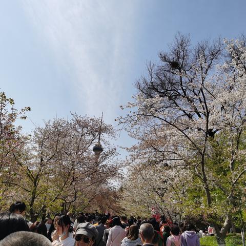 cancy于2021-04-06 16:10发布的图片