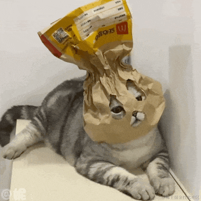 已注销于2024-06-11 03:07发布的图片