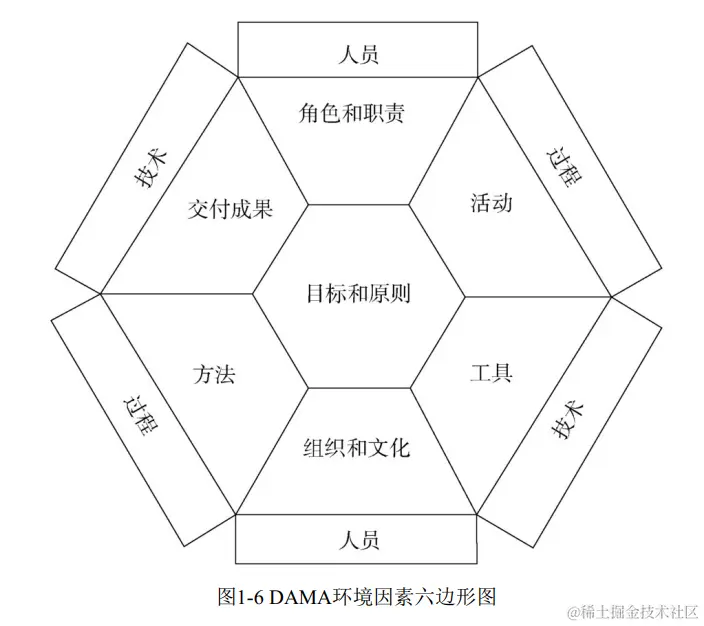 DAMA环境因素六边形图