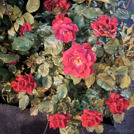 ank睡不醒于2023-04-30 20:42发布的图片