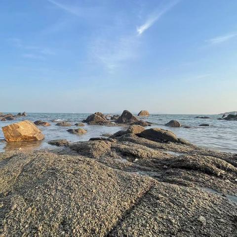 Change_myself于2023-05-04 08:52发布的图片