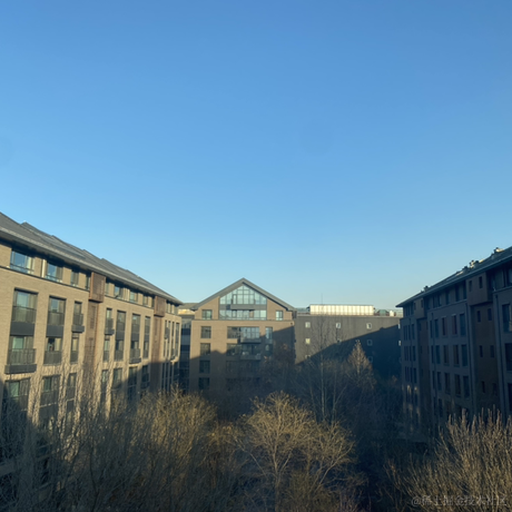 草莓龙舌兰于2022-12-06 15:32发布的图片