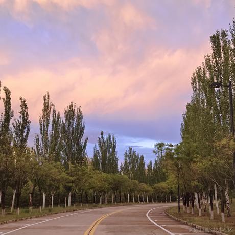 有人616于2023-08-15 21:31发布的图片