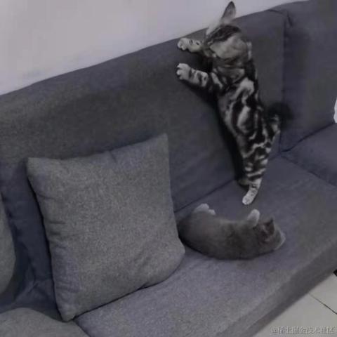 Emotion于2020-12-18 11:52发布的图片