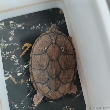 LuerDog于2021-05-23 11:34发布的图片