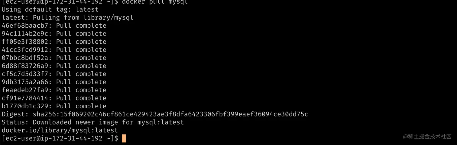 docker-pull-2.png