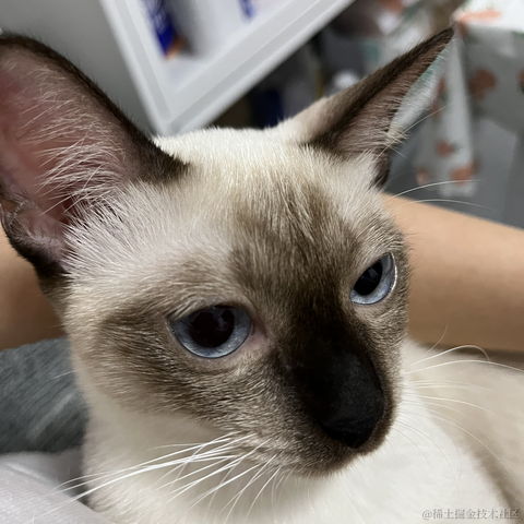 近战仙师于2022-09-20 10:49发布的图片