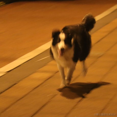 仙仙138于2022-11-20 18:50发布的图片