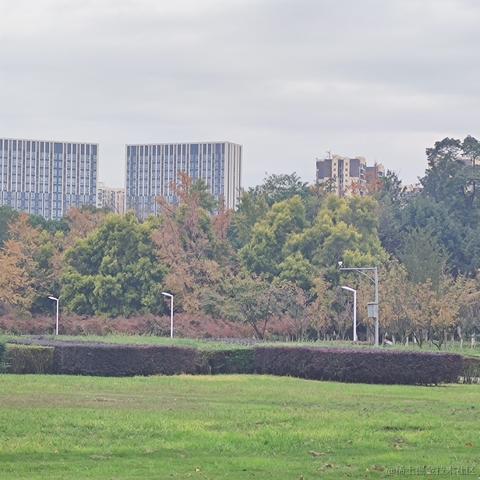 Algernon_于2022-11-12 18:30发布的图片