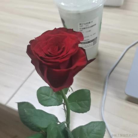 奈子于2023-08-22 10:23发布的图片