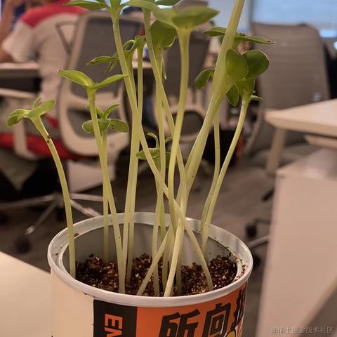 用户2182950814525于2023-09-07 15:42发布的图片