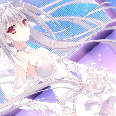 风铃花于2022-11-20 19:15发布的图片