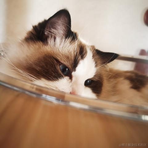 Firmament于2022-12-14 11:50发布的图片