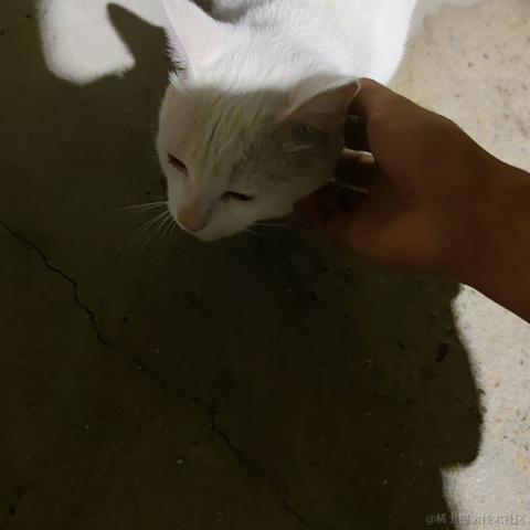 何必诗债换酒钱于2022-11-25 10:31发布的图片