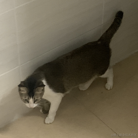 三文鱼abb于2022-04-21 23:17发布的图片