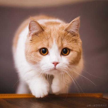 洛亦仙于2021-09-28 20:16发布的图片