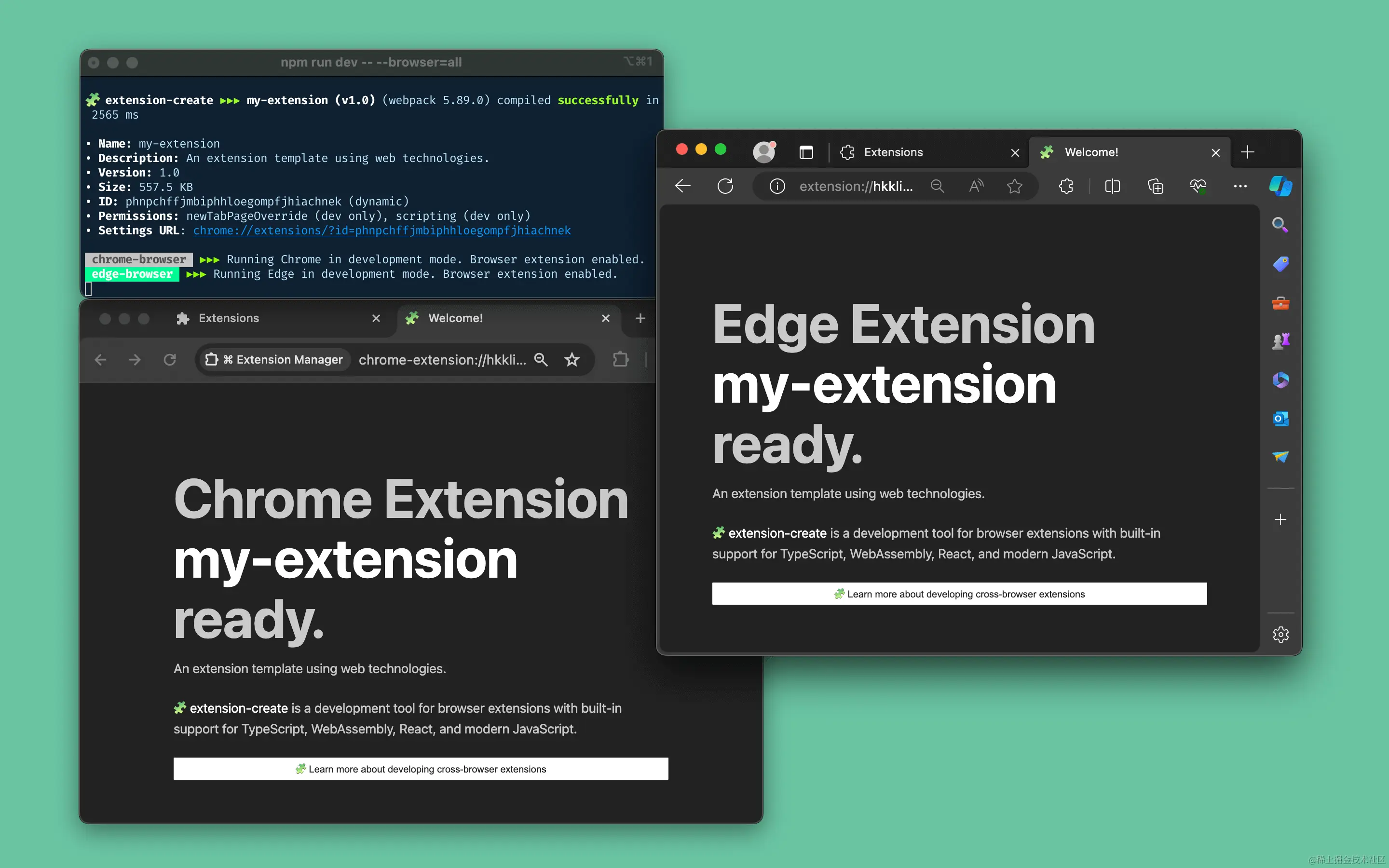 extension.png