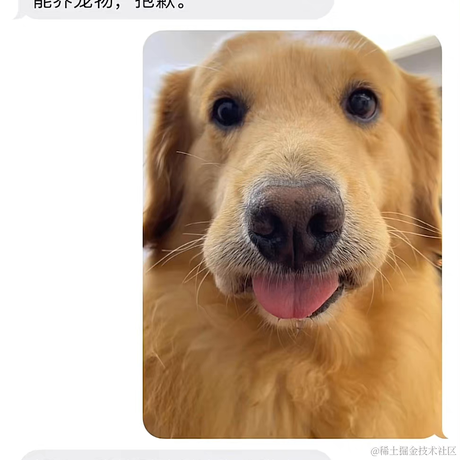 mql的爹于2022-11-18 23:11发布的图片