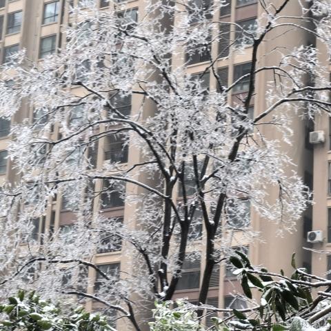 默寒于2024-02-04 09:11发布的图片