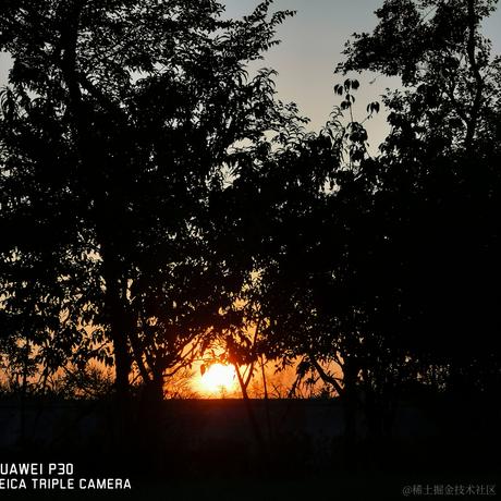 纯爱掌门人于2023-05-18 09:49发布的图片