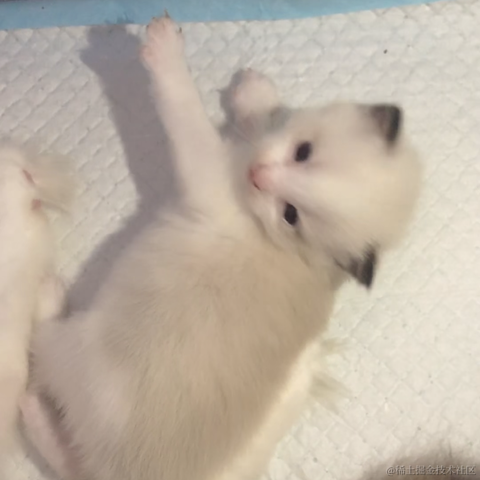 强行天下于2021-07-13 08:58发布的图片