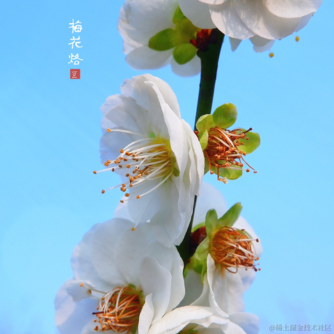 吃猫的鱼_于2023-02-27 09:09发布的图片