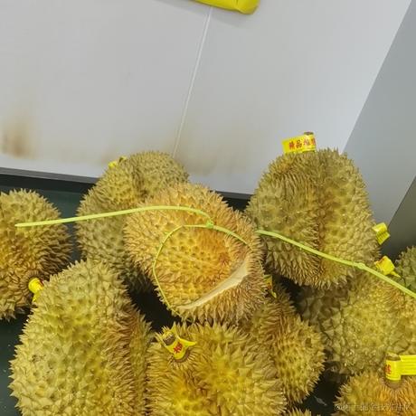 普普通通奶淇琳于2023-06-21 10:39发布的图片