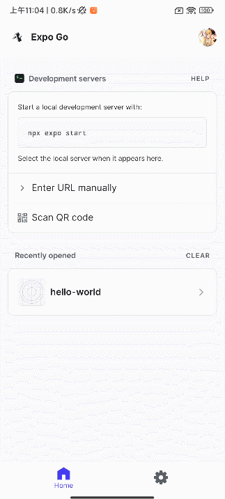 ios-scan.gif