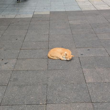 晚风吹心飘扬于2023-07-04 18:16发布的图片