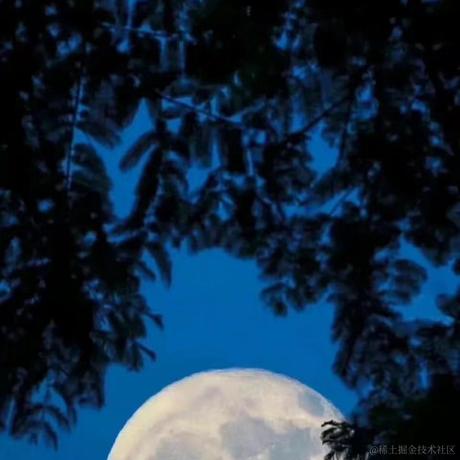 奈俞于2022-11-12 10:17发布的图片