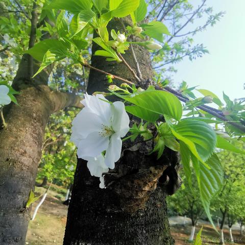 小小喵于2023-03-11 11:57发布的图片