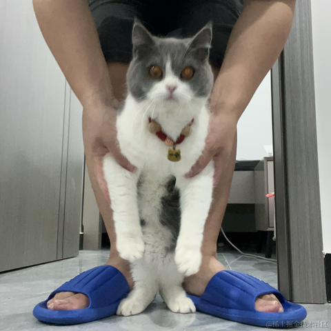 单纯_稀饭于2024-06-19 08:07发布的图片