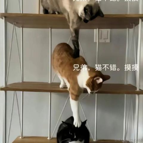 客怎眠于2024-05-16 14:23发布的图片