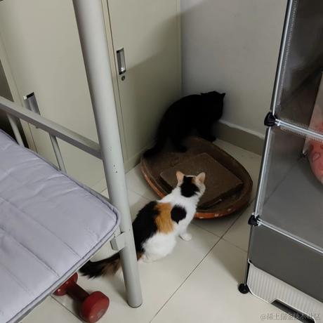 ASOUL时代沸腾期待于2023-07-03 10:16发布的图片