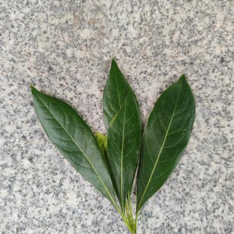 奔跑的水瓜于2023-05-28 11:12发布的图片