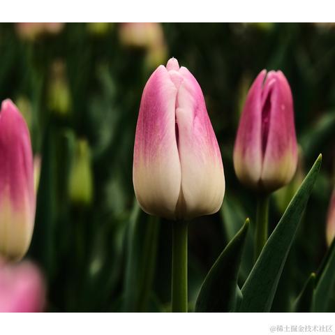 kakrot_于2023-03-22 10:11发布的图片