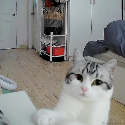 程序猿秃头之路于2021-12-14 12:39发布的图片