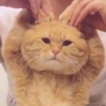 树97于2022-08-12 13:37发布的图片