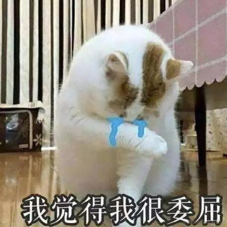 do_0b于2023-07-31 16:44发布的图片