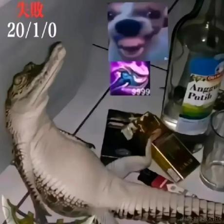 用户6034035822761于2023-07-04 22:57发布的图片