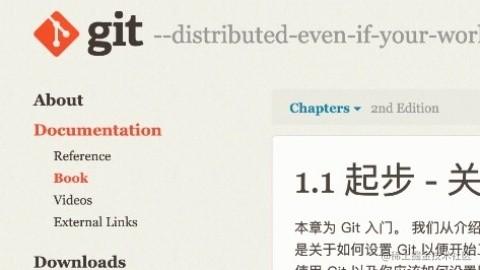 Git